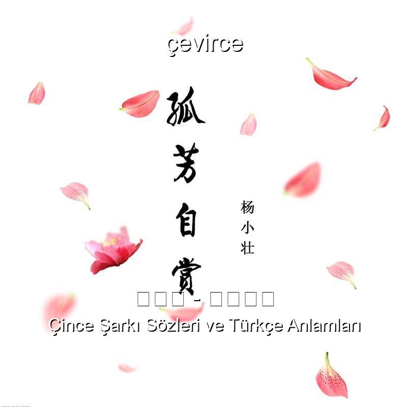 杨小壮 – 孤芳自赏 Çince Şarkı Sözleri Türkçe Anlamları