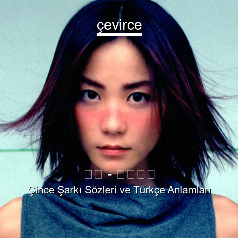 王菲 – 匆匆那年 Çince Şarkı Sözleri Türkçe Anlamları