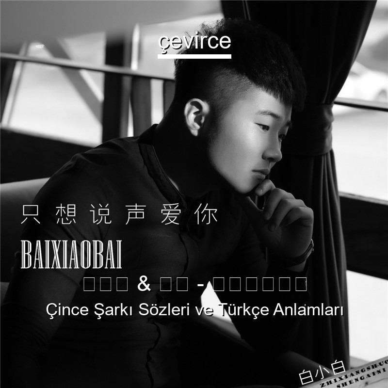 白小白 & 朱鸽 – 只想说声爱你 Çince Şarkı Sözleri Türkçe Anlamları