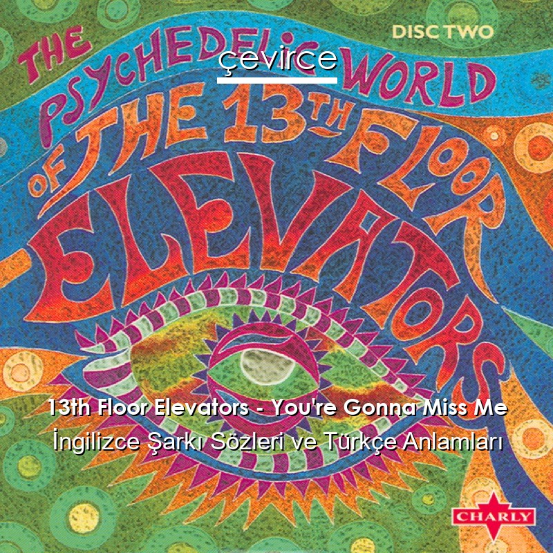 13th Floor Elevators – You’re Gonna Miss Me İngilizce Şarkı Sözleri Türkçe Anlamları