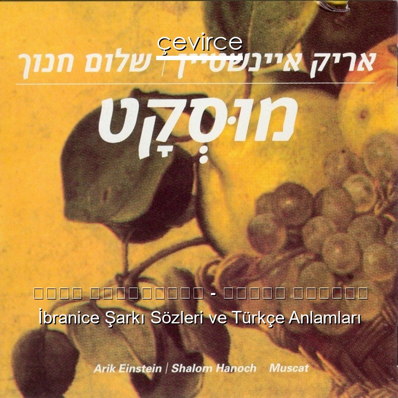 אריק איינשטיין – גיטרה וכינור İbranice Şarkı Sözleri Türkçe Anlamları