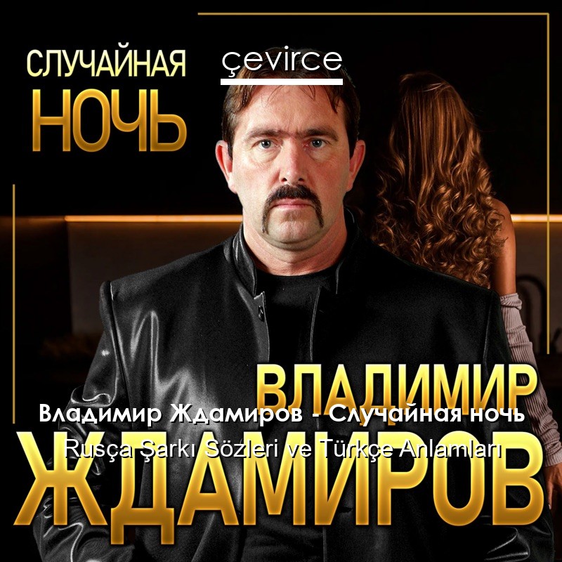 Владимир Ждамиров – Случайная ночь Rusça Şarkı Sözleri Türkçe Anlamları