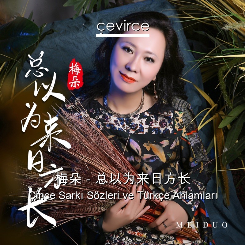 梅朵 – 总以为来日方长 Çince Şarkı Sözleri Türkçe Anlamları
