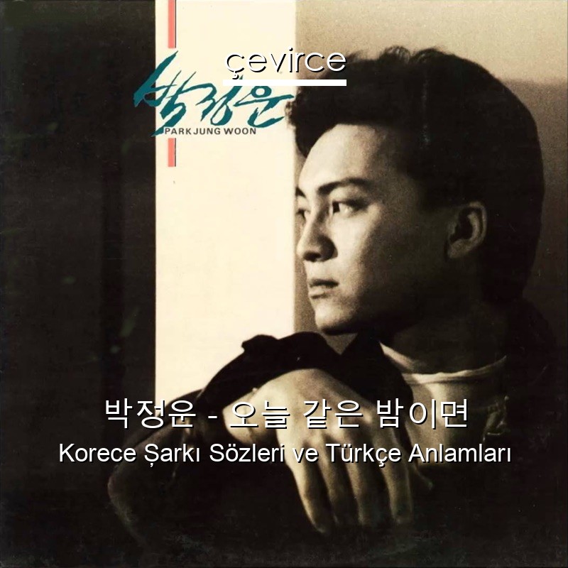 박정운 – 오늘 같은 밤이면 Korece Şarkı Sözleri Türkçe Anlamları