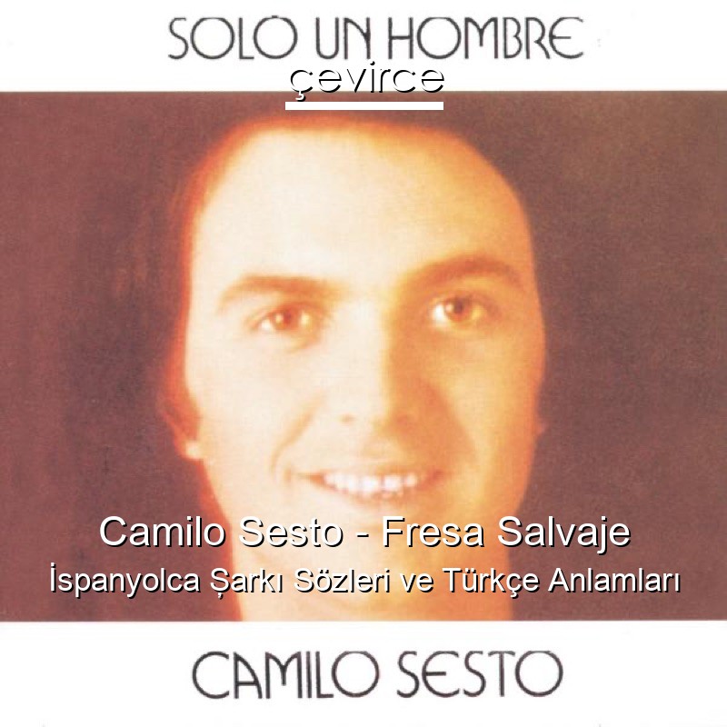 Camilo Sesto – Fresa Salvaje İspanyolca Şarkı Sözleri Türkçe Anlamları