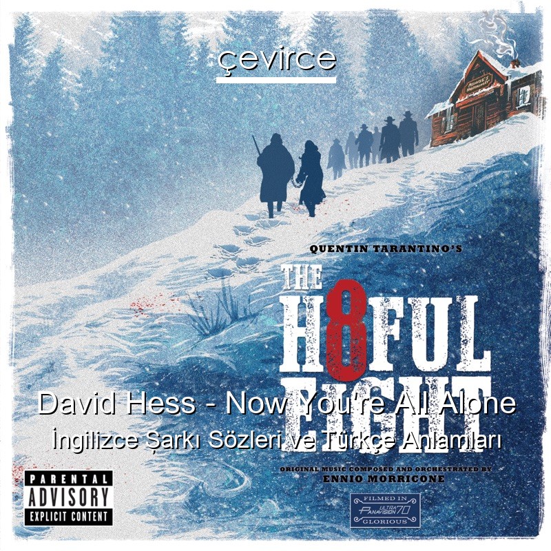 David Hess – Now You’re All Alone İngilizce Şarkı Sözleri Türkçe Anlamları