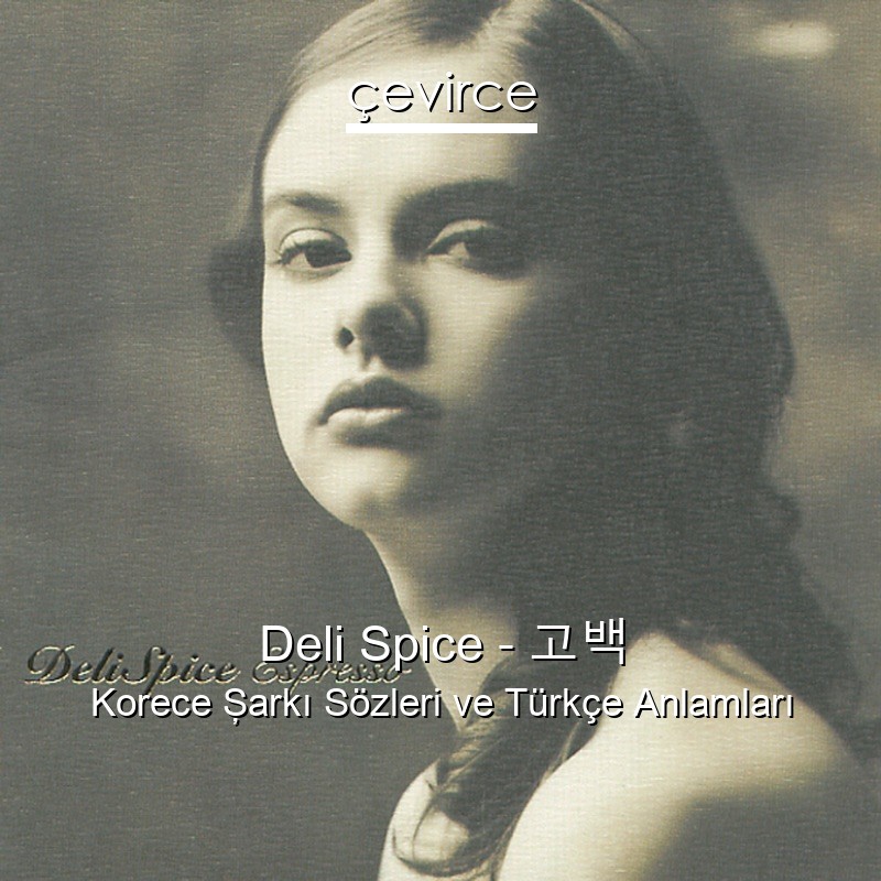 Deli Spice – 고백 Korece Şarkı Sözleri Türkçe Anlamları