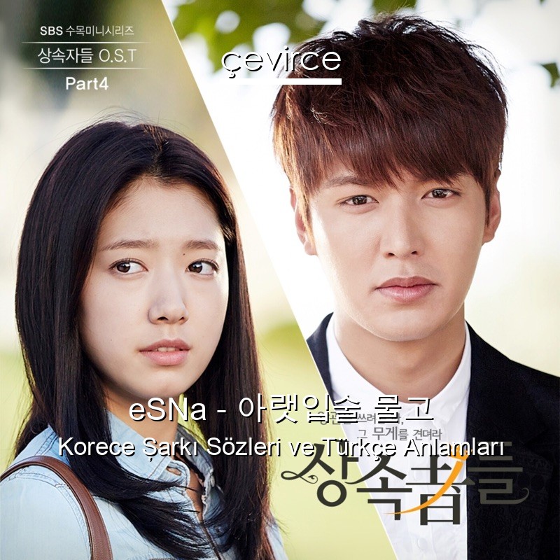 eSNa – 아랫입술 물고 Korece Şarkı Sözleri Türkçe Anlamları