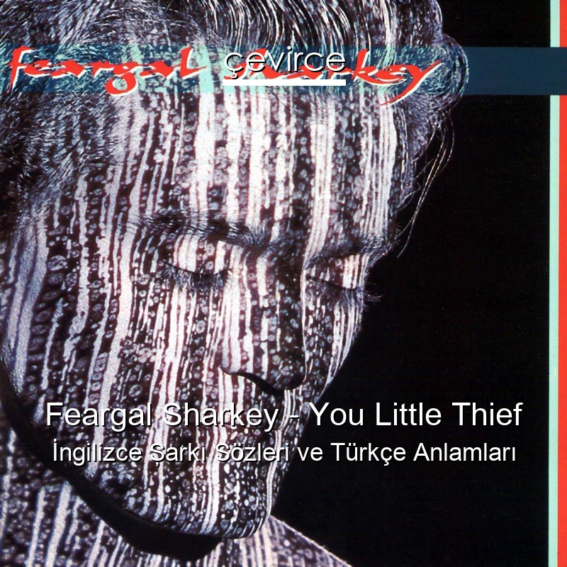 Feargal Sharkey – You Little Thief İngilizce Şarkı Sözleri Türkçe Anlamları