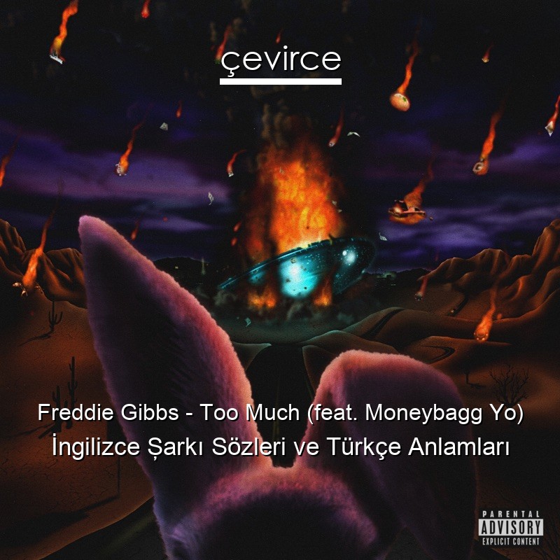 Freddie Gibbs – Too Much (feat. Moneybagg Yo) İngilizce Şarkı Sözleri Türkçe Anlamları