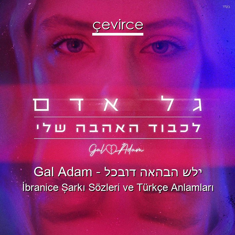 Gal Adam – לכבוד האהבה שלי İbranice Şarkı Sözleri Türkçe Anlamları