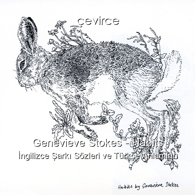 Genevieve Stokes – Habits İngilizce Şarkı Sözleri Türkçe Anlamları