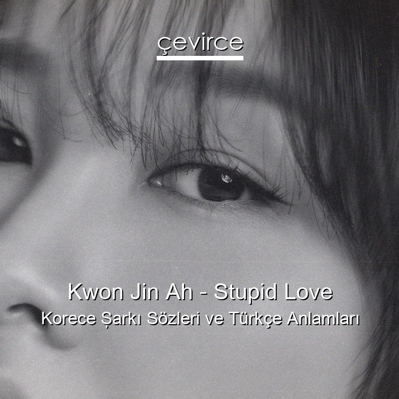 Kwon Jin Ah – Stupid Love Korece Şarkı Sözleri Türkçe Anlamları