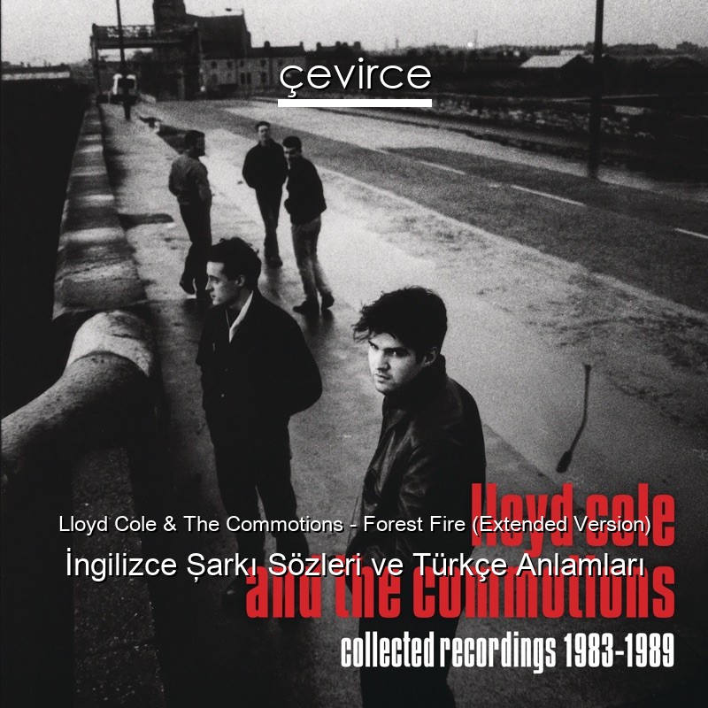 Lloyd Cole & The Commotions – Forest Fire (Extended Version) İngilizce Şarkı Sözleri Türkçe Anlamları