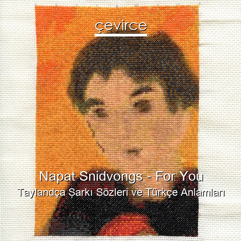 Napat Snidvongs – For You Taylandça Şarkı Sözleri Türkçe Anlamları