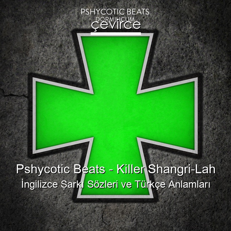Pshycotic Beats – Killer Shangri-Lah İngilizce Şarkı Sözleri Türkçe Anlamları