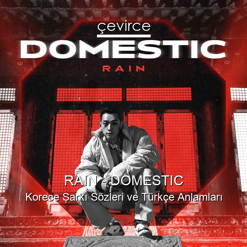 RAIN – DOMESTIC Korece Şarkı Sözleri Türkçe Anlamları