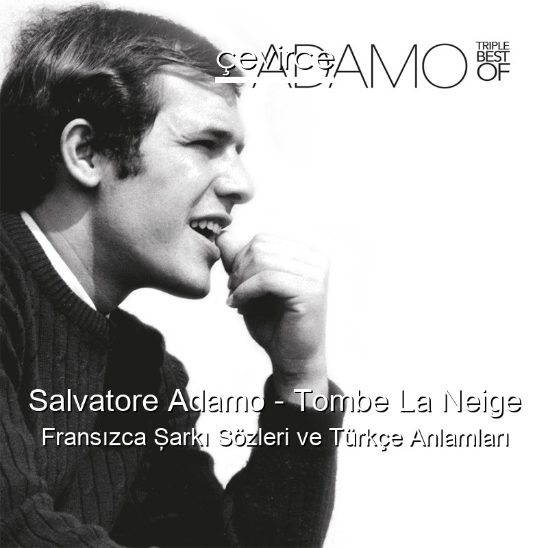 Salvatore Adamo – Tombe La Neige Fransızca Şarkı Sözleri Türkçe Anlamları