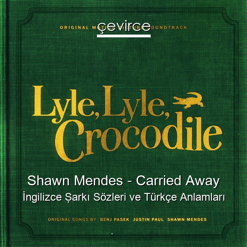 Shawn Mendes – Carried Away İngilizce Şarkı Sözleri Türkçe Anlamları