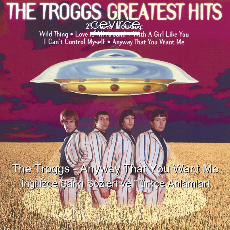 The Troggs – Anyway That You Want Me İngilizce Şarkı Sözleri Türkçe Anlamları