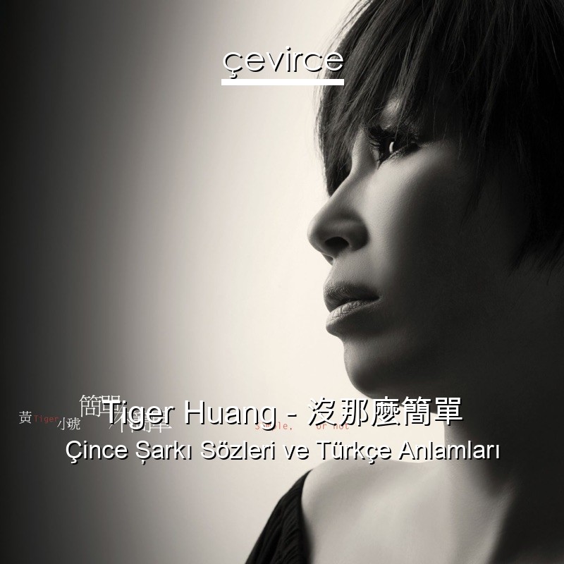 Tiger Huang – 沒那麼簡單 Çince Şarkı Sözleri Türkçe Anlamları