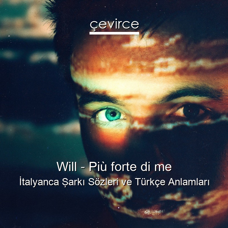 Will – Più forte di me İtalyanca Şarkı Sözleri Türkçe Anlamları