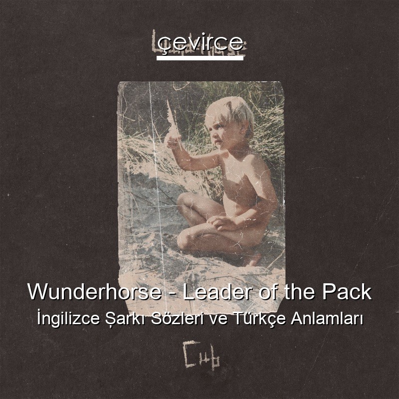 Wunderhorse – Leader of the Pack İngilizce Şarkı Sözleri Türkçe Anlamları