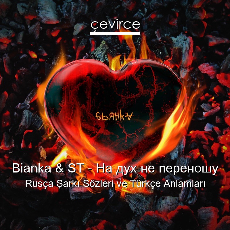 Bianka & ST – На дух не переношу Rusça Şarkı Sözleri Türkçe Anlamları
