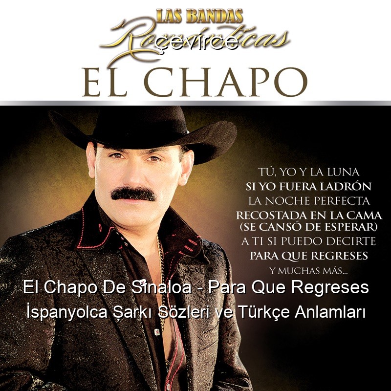 El Chapo De Sinaloa – Para Que Regreses İspanyolca Şarkı Sözleri Türkçe Anlamları