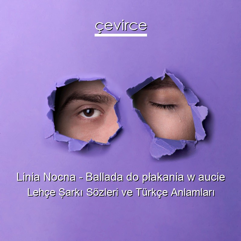 Linia Nocna – Ballada do płakania w aucie Lehçe Şarkı Sözleri Türkçe Anlamları
