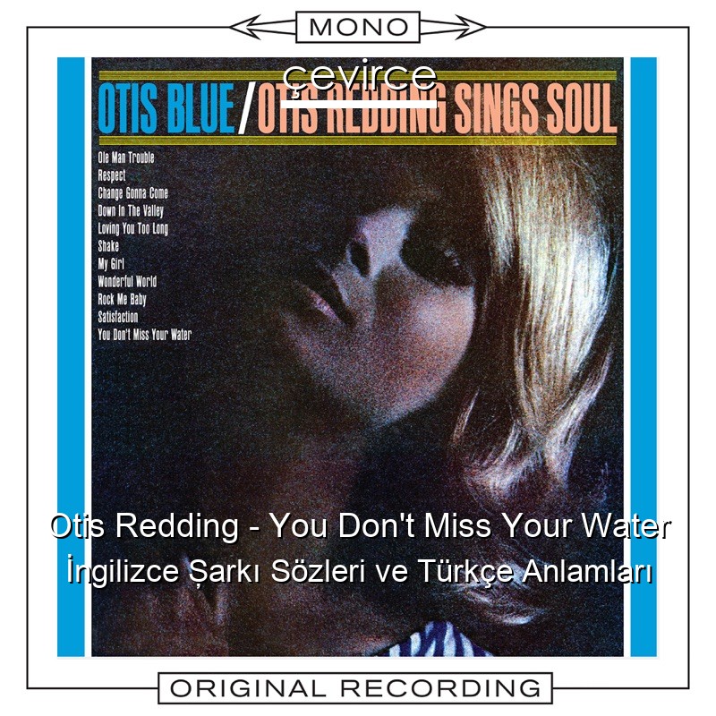 Otis Redding – You Don’t Miss Your Water İngilizce Şarkı Sözleri Türkçe Anlamları