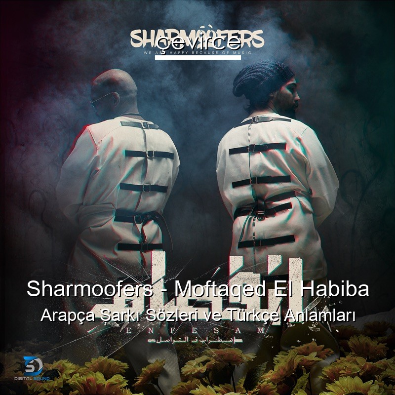 Sharmoofers – Moftaqed El Habiba Arapça Şarkı Sözleri Türkçe Anlamları