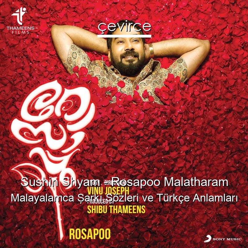Sushin Shyam – Rosapoo Malatharam Malayalamca Şarkı Sözleri Türkçe Anlamları