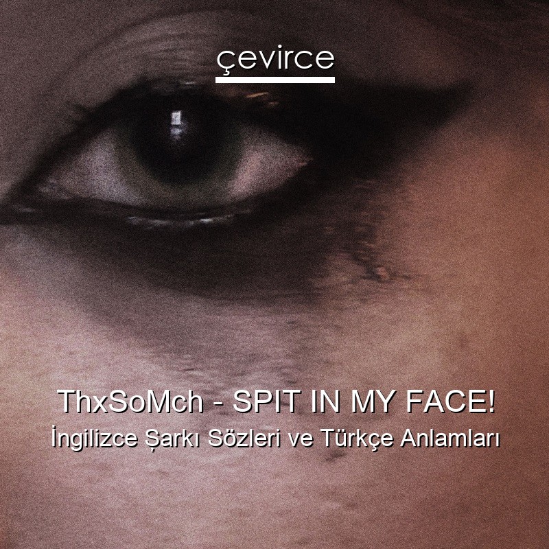 ThxSoMch – SPIT IN MY FACE! İngilizce Şarkı Sözleri Türkçe Anlamları